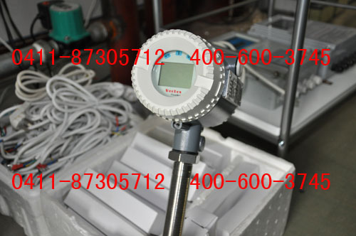 渦街流量計(jì)