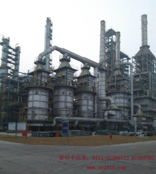 防爆超聲波流量計(jì)石化安裝現(xiàn)場(chǎng)